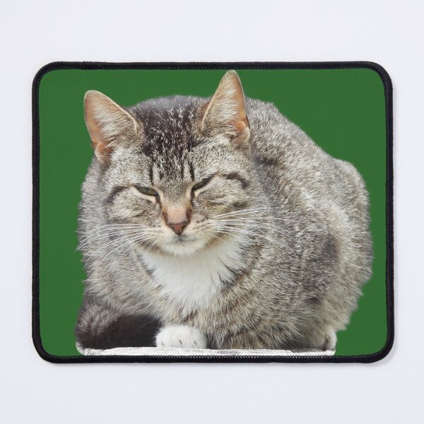 Item preview, Funny Squinting Tabby Cat designed and sold by nietylkoszulki.