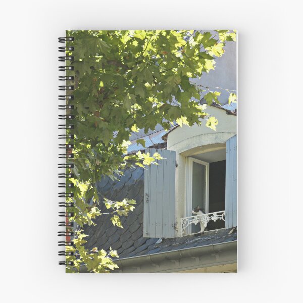 Item preview, Cat in the attic. designed and sold by Paul Pasco.