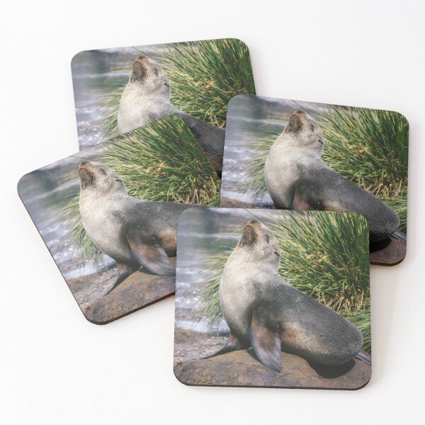Item preview, Fur Seal Basking on a Rock South Georgia Island designed and sold by PhotoArt by Joan Carroll.