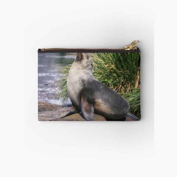 Item preview, Fur Seal Basking on a Rock South Georgia Island designed and sold by PhotoArt by Joan Carroll.