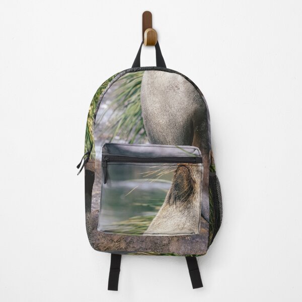Item preview, Fur Seal Basking on a Rock South Georgia Island designed and sold by PhotoArt by Joan Carroll.