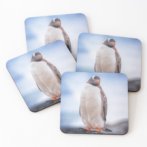 Item preview, Gentoo Penguin on Cuverville Island designed and sold by PhotoArt by Joan Carroll.
