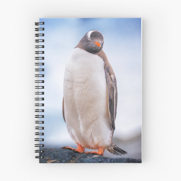 Item preview, Gentoo Penguin on Cuverville Island designed and sold by PhotoArt by Joan Carroll.