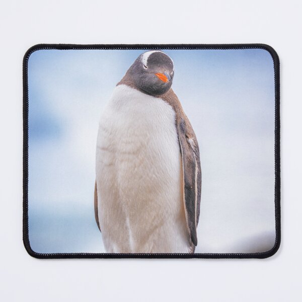 Item preview, Gentoo Penguin on Cuverville Island designed and sold by PhotoArt by Joan Carroll.