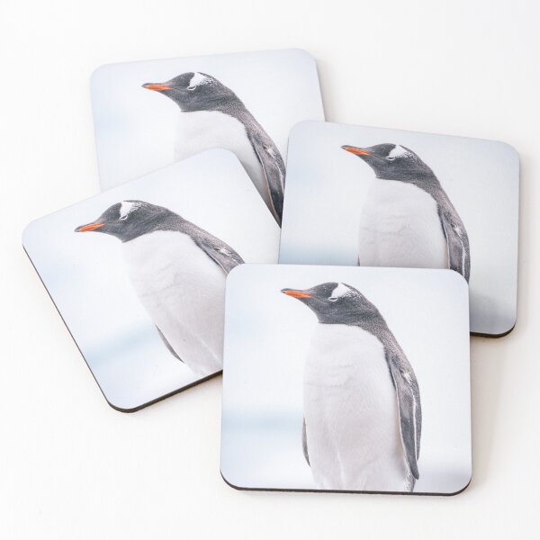 Item preview, Gentoo Penguin on Cuverville Island 2 designed and sold by PhotoArt by Joan Carroll.