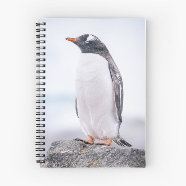 Item preview, Gentoo Penguin on Cuverville Island 2 designed and sold by PhotoArt by Joan Carroll.