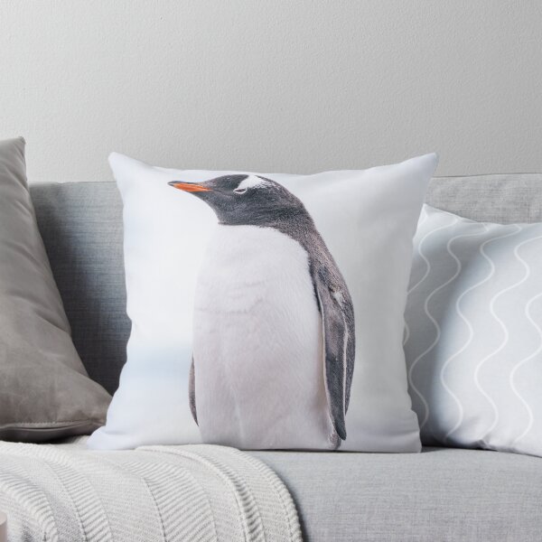 Item preview, Gentoo Penguin on Cuverville Island 2 designed and sold by PhotoArt by Joan Carroll.
