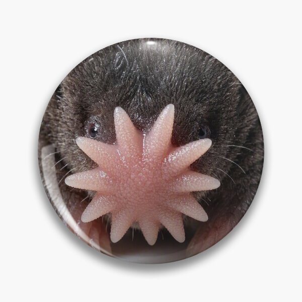Item preview, Star-Nosed Mole: Nature's Fastest Sense of Touch designed and sold by Helt-enkelt.