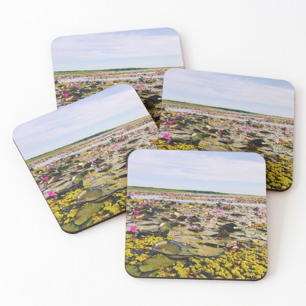 Item preview, Beautiful Lotus Pond with Pink Flowers, Tropical Nature Photography designed and sold by BlossoraStudio.