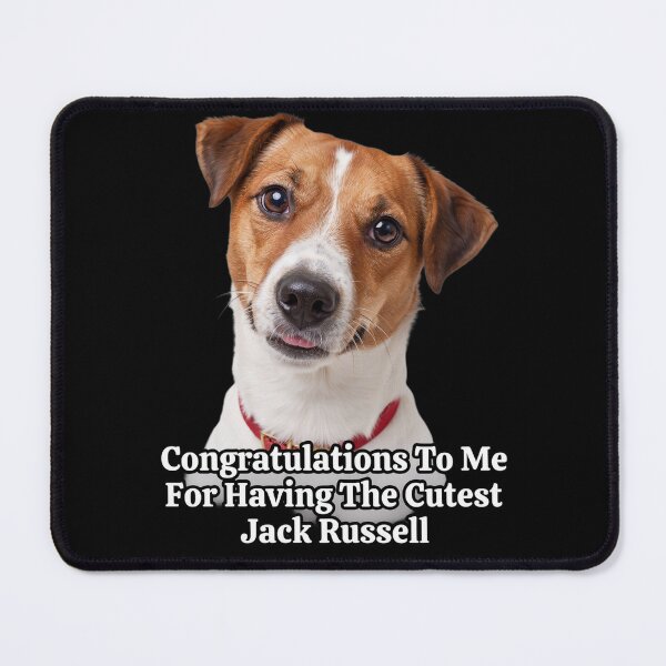 Item preview, Jack Russell Dog Owner Congratulations To Me For Having The Cutest Jack Russell designed and sold by fantasticdesign.