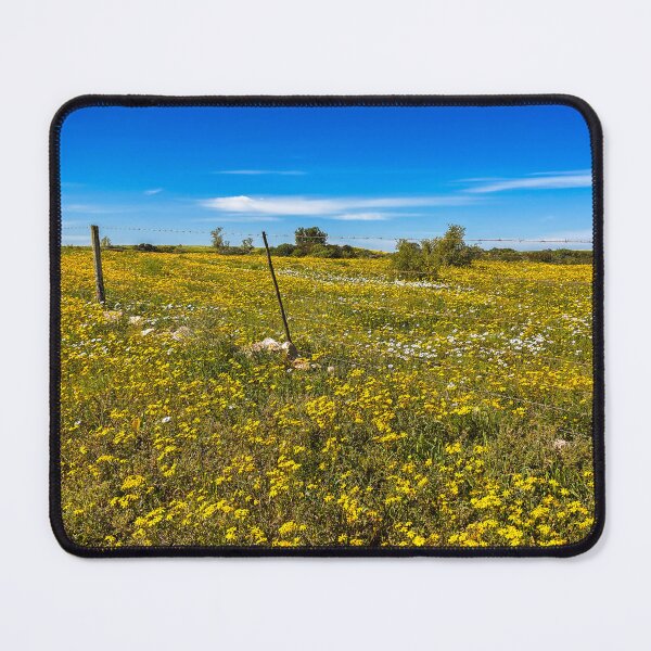Item preview, Fields of yellow wildflowers decor designed and sold by Faith Based Decor .