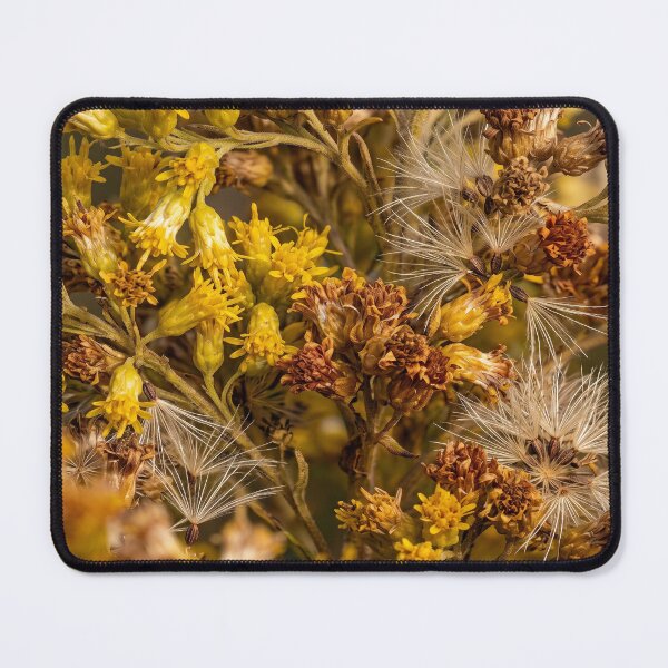 Item preview, When the Field Learned to Drift designed and sold by Assemble Wonder.