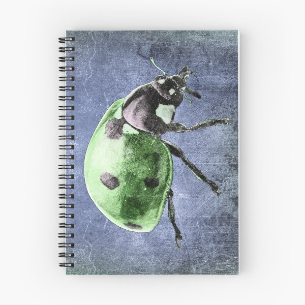 Item preview, Green Seven Spot Ladybug Beetle Macro Insect Specimen designed and sold by Ghoul Enterprises.