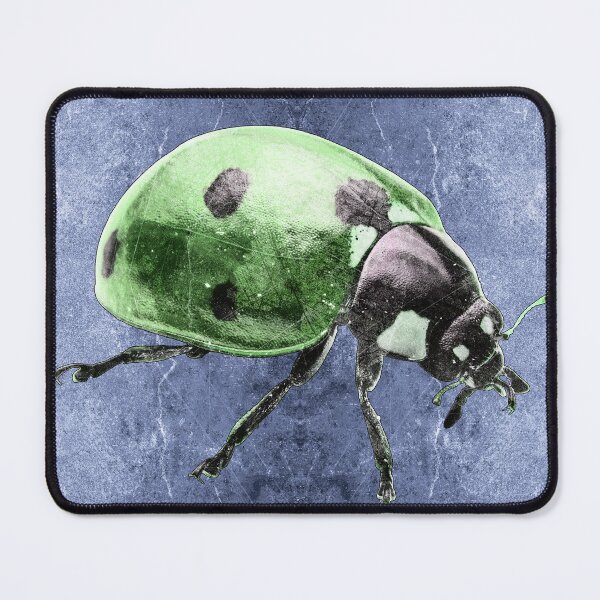 Item preview, Green Seven Spot Ladybug Beetle Macro Insect Specimen designed and sold by Ghoul Enterprises.