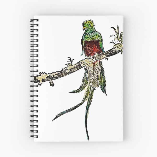 Artikelvorschau, Prachtvoller Quetzal auf einem Ast (Aquarell) entworfen und verkauft von Mushroom-Lad.