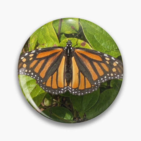 Artikelvorschau, Monarch entworfen und verkauft von laura87price31.
