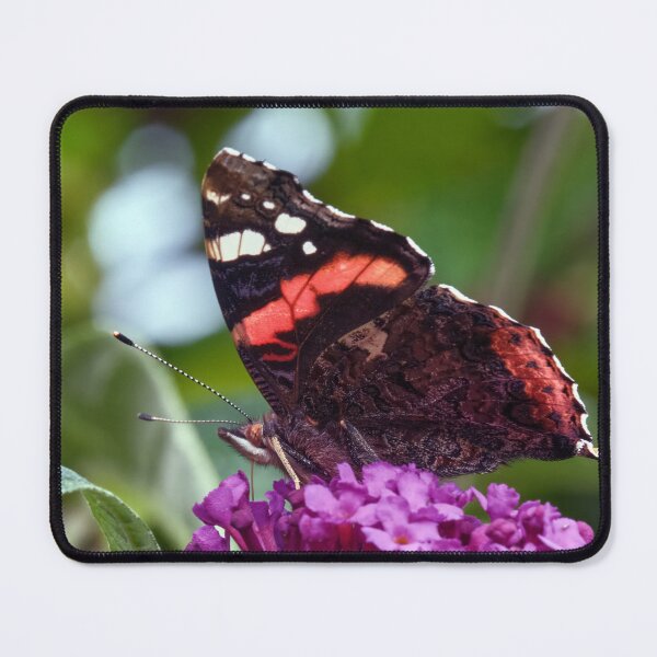 Item preview, Red Admiral Butterfly designed and sold by Tom McPherson Photography.