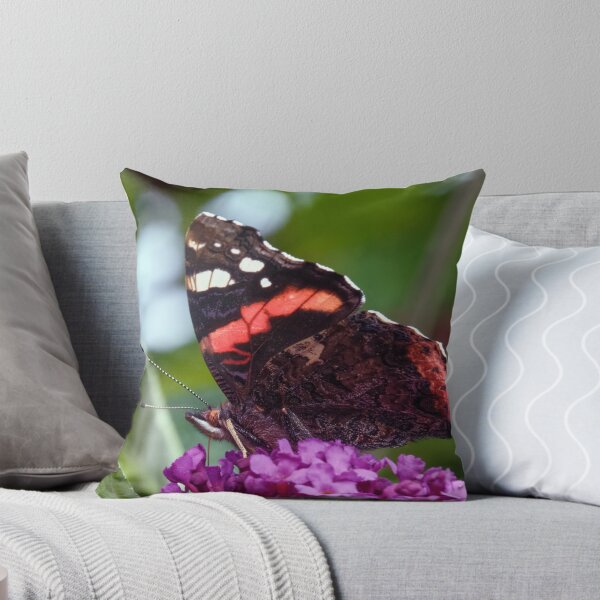 Item preview, Red Admiral Butterfly designed and sold by Tom McPherson Photography.