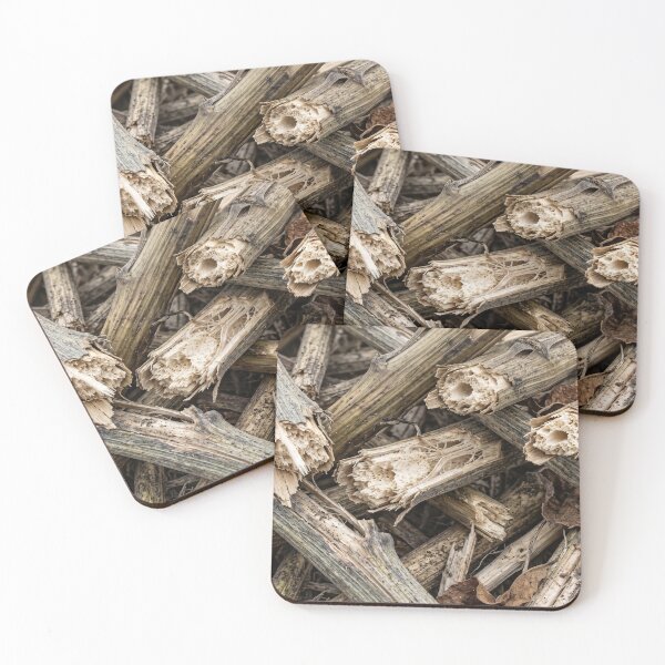 Item preview, What Was Left Standing After the Seeds Were Gone designed and sold by ASSEMBLE WONDER.