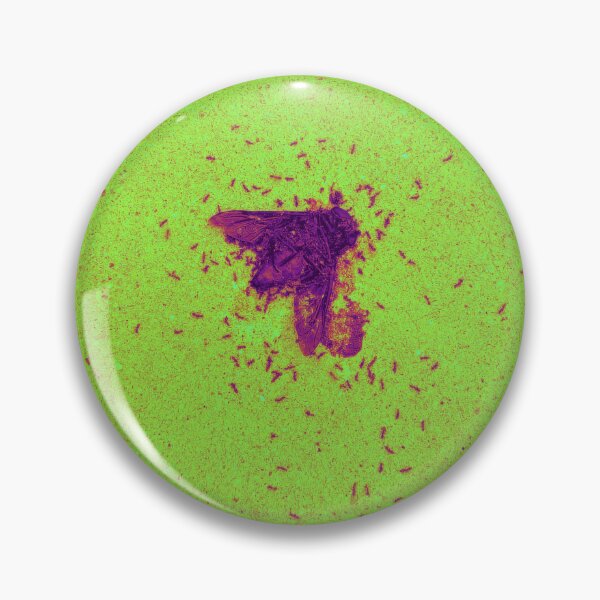 Item preview, Ants Feast Upon A Dead Cicada designed and sold by rebelxoswald.