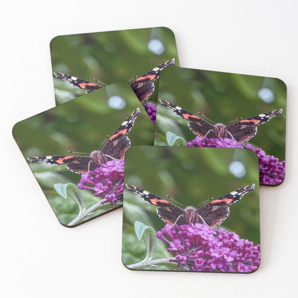 Item preview, Vanessa atalanta, the red admiral  designed and sold by Tom McPherson Photography.