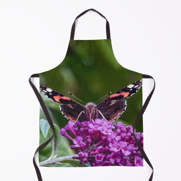 Item preview, Vanessa atalanta, the red admiral designed and sold by Tom McPherson Photography.