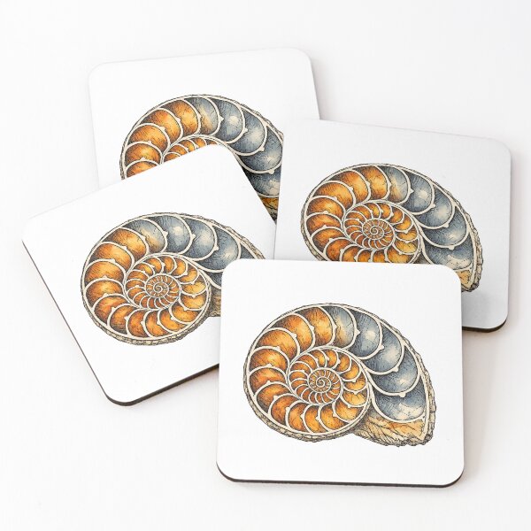Item preview, Ammonite Fossil Spiral Naturalist Specimen Study designed and sold by eignvalue.