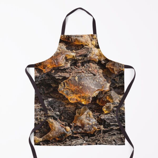 Item preview, Where the Forest Kept Its Light designed and sold by ASSEMBLE WONDER.