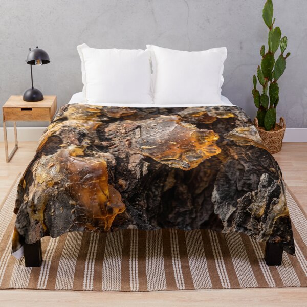 Item preview, Where the Forest Kept Its Light designed and sold by Assemble Wonder.
