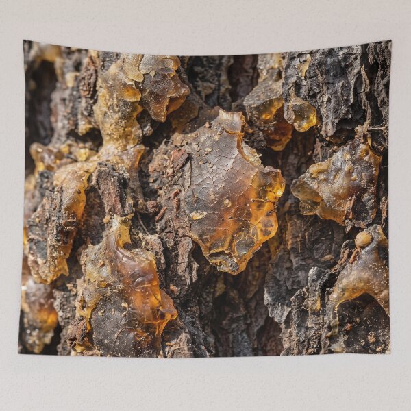 Item preview, Where the Forest Kept Its Light designed and sold by ASSEMBLE WONDER.