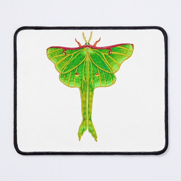 Item preview, Luna moth designed and sold by Nocmidl4.