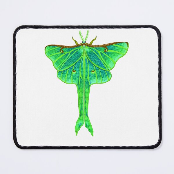 Item preview, Luna moth (green) designed and sold by Nocmidl4.