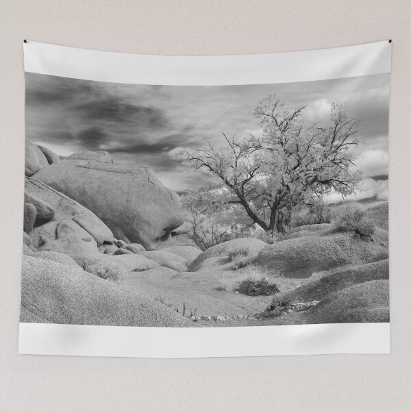 Item preview, Desert Landscape Joshua Tree National Park designed and sold by Gerard Fornarotto.