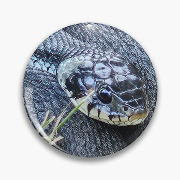 Item preview, Nature Sweden. Female Grass Snake Lake Boren Östergötland Sweden designed and sold by EmerentiaSkoog.