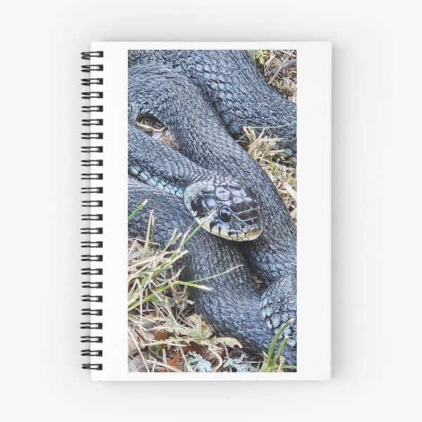 Item preview, Nature Sweden. Female Grass Snake Lake Boren Östergötland Sweden designed and sold by EmerentiaSkoog.