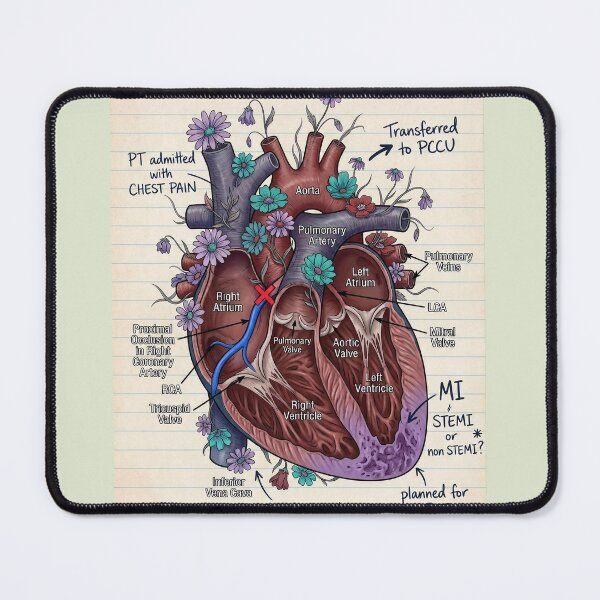 Item preview, cardiac doctor notebook design anatomy illustration designed and sold by HEDN.