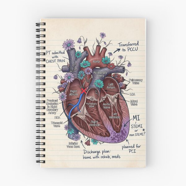 Item preview, cardiac doctor notebook design anatomy illustration designed and sold by HEDN.