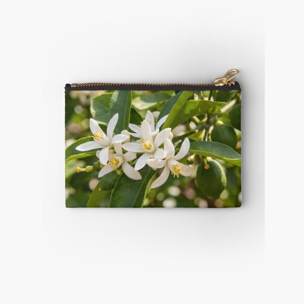 Item preview, Lemon designed and sold by manuiatane.