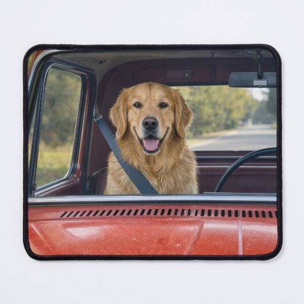 Item preview, Golden Retriever Wearing a Seatbelt designed and sold by Maria Dryfhout.