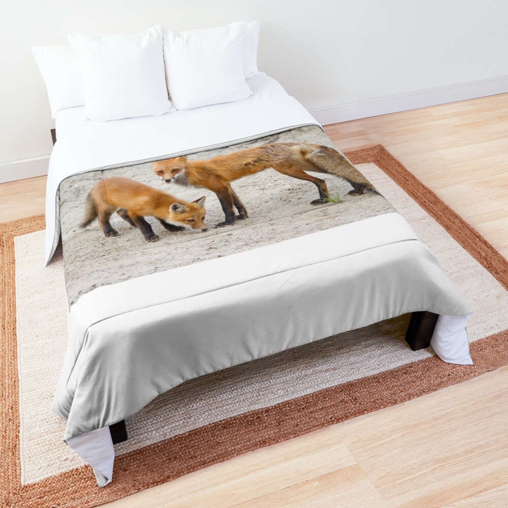 Red fox family Comforter