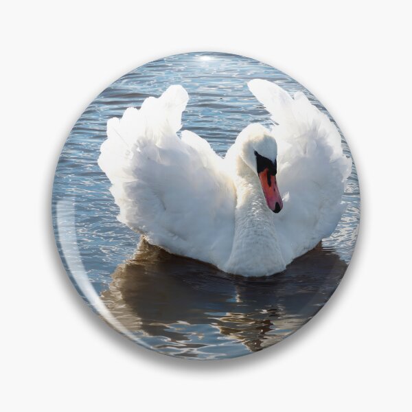 Item preview, Busking Mute Swan at Charmouth Dorset designed and sold by Dorset Girl.