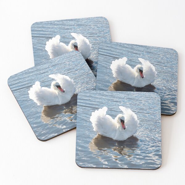 Item preview, Busking Mute Swan at Charmouth Dorset designed and sold by Dorset Girl.