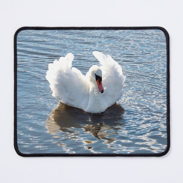 Item preview, Busking Mute Swan at Charmouth Dorset designed and sold by Dorset Girl.