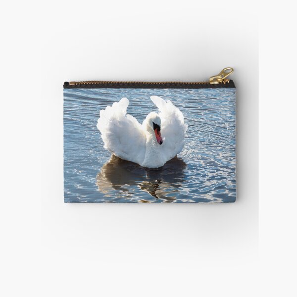 Item preview, Busking Mute Swan at Charmouth Dorset designed and sold by Dorset Girl.