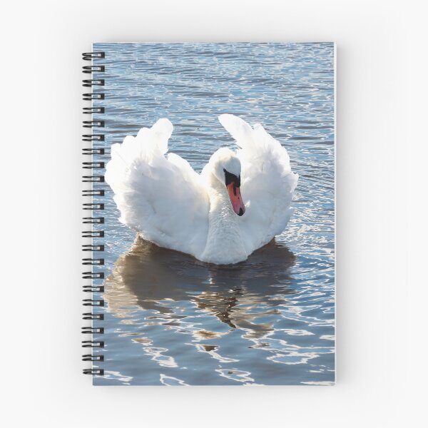 Item preview, Busking Mute Swan at Charmouth Dorset designed and sold by Dorset Girl.