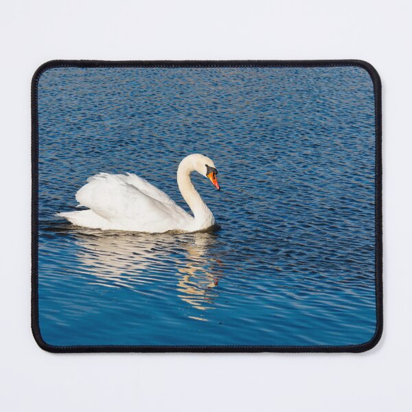 Item preview, Mute Swan and Reflections designed and sold by Dorset Girl.