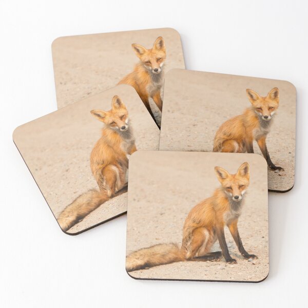 Item preview, Desert fox designed and sold by James Cumming.