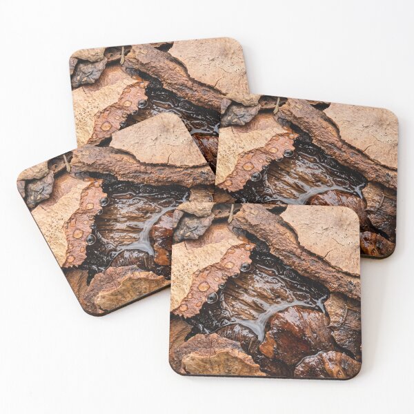 Item preview, What the Ground Keeps designed and sold by ASSEMBLE WONDER.