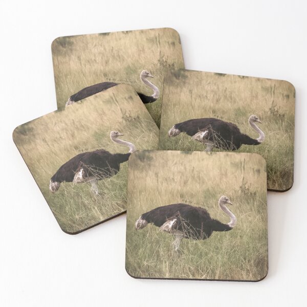 Item preview, Lone ostrich  designed and sold by NickyLeighPhoto.