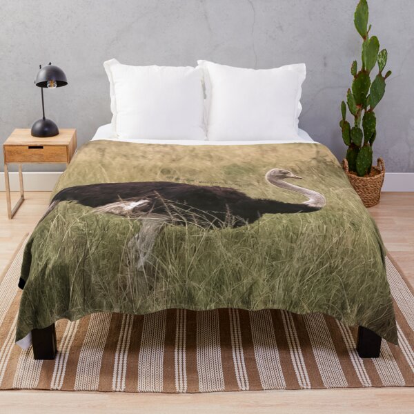 Item preview, Lone ostrich designed and sold by NickyLeighPhoto.